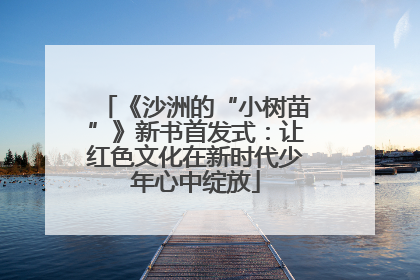 《沙洲的“小树苗”》新书首发式：让红色文化在新时代少年心中绽放
