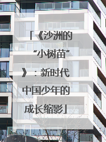 《沙洲的“小树苗”》：新时代中国少年的成长缩影