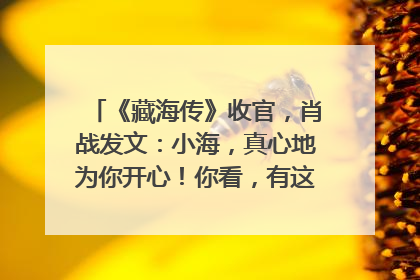 《藏海传》收官，肖战发文：小海，真心地为你开心！你看，有这么多人懂你！