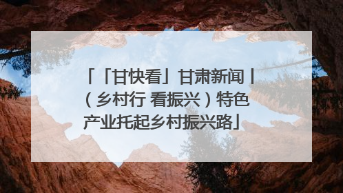 「甘快看」甘肃新闻丨（乡村行 看振兴）特色产业托起乡村振兴路