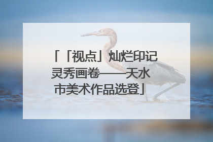 「视点」灿烂印记 灵秀画卷——天水市美术作品选登