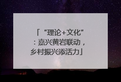 “理论+文化”：嘉兴黄岩联动，乡村振兴添活力