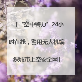 “空中警力”24小时在线，警用无人机编织城市上空安全网