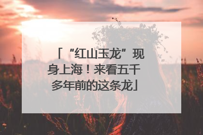“红山玉龙”现身上海！来看五千多年前的这条龙