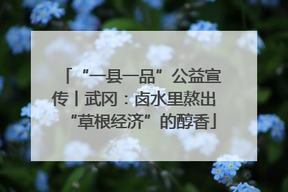 “一县一品”公益宣传丨武冈：卤水里熬出“草根经济”的醇香