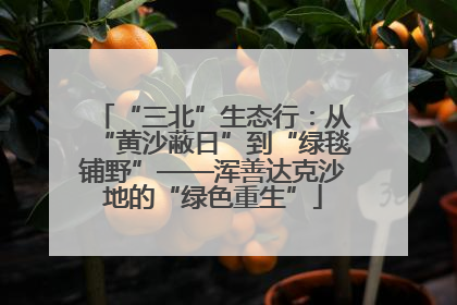 “三北”生态行：从“黄沙蔽日”到“绿毯铺野”——浑善达克沙地的“绿色重生”