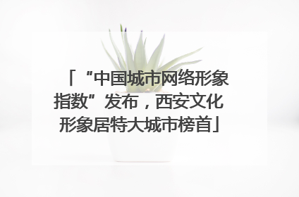 “中国城市网络形象指数”发布，西安文化形象居特大城市榜首