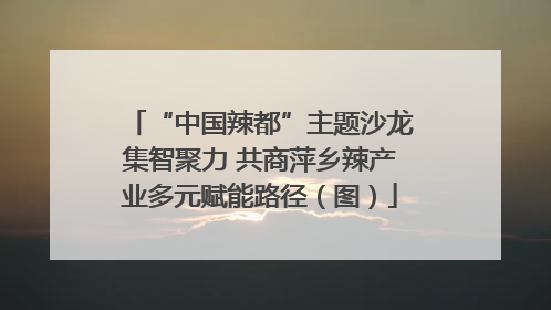 “中国辣都”主题沙龙集智聚力 共商萍乡辣产业多元赋能路径（图）