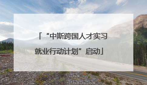 “中斯跨国人才实习就业行动计划”启动