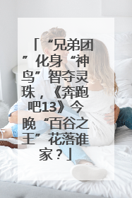 “兄弟团”化身“神鸟”智夺灵珠，《奔跑吧13》今晚“百谷之王”花落谁家？