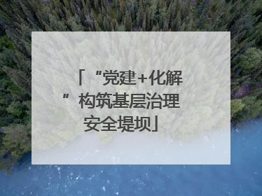 “党建+化解”构筑基层治理安全堤坝