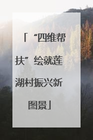 “四维帮扶”绘就莲湖村振兴新图景