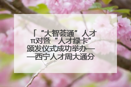 “大智荟通”人才π对暨“人才绿卡”颁发仪式成功举办——西宁人才周大通分会场亮点纷呈