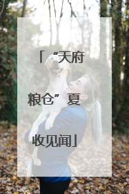 “天府粮仓”夏收见闻