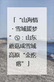 “山海情・雪域援梦”⑤：山东蘑菇成雪域高原“金疙瘩”