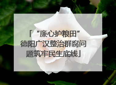 “廉心护粮田” 德阳广汉整治群腐问题筑牢民生底线
