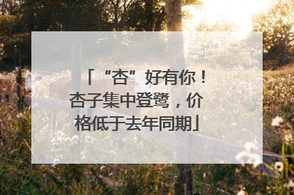“杏”好有你！杏子集中登鹭，价格低于去年同期