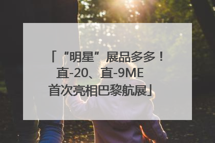 “明星”展品多多！直-20、直-9ME首次亮相巴黎航展