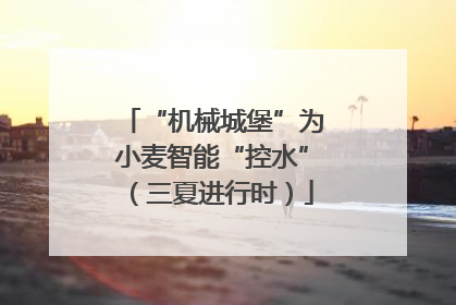 “机械城堡”为小麦智能“控水”（三夏进行时）