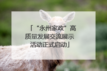 “永州家政”高质量发展交流展示活动正式启动