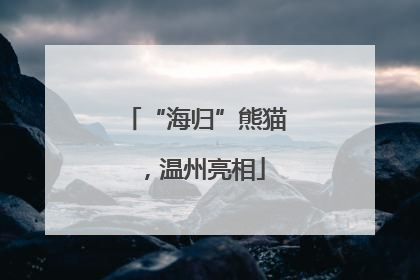 “海归”熊猫，温州亮相