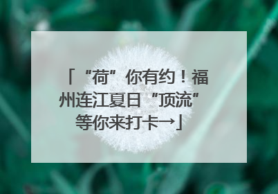 “荷”你有约！福州连江夏日“顶流”等你来打卡→