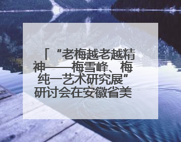 “老梅越老越精神——梅雪峰、梅纯一艺术研究展”研讨会在安徽省美术馆召开