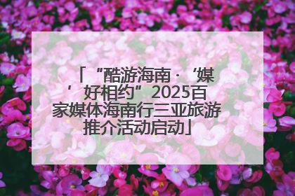 “酷游海南 ·‘媒’好相约”2025百家媒体海南行三亚旅游推介活动启动