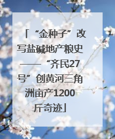 “金种子”改写盐碱地产粮史——“齐民27号”创黄河三角洲亩产1200斤奇迹