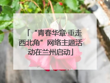 “青春华章·重走西北角”网络主题活动在兰州启动