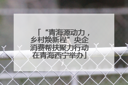 “青海源动力，乡村焕新程”央企消费帮扶聚力行动在青海西宁举办
