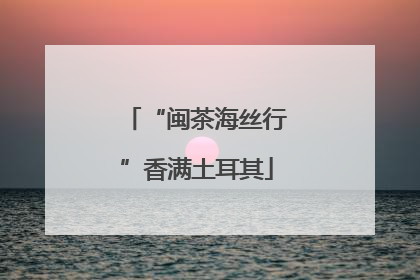 “闽茶海丝行”香满土耳其