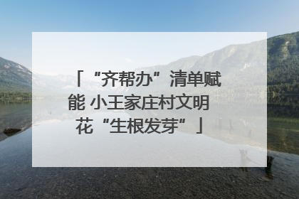 “齐帮办”清单赋能 小王家庄村文明花“生根发芽”