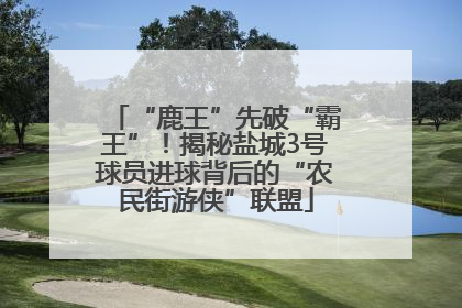 “鹿王”先破“霸王”！揭秘盐城3号球员进球背后的“农民街游侠”联盟