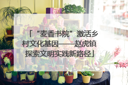 “麦香书院”激活乡村文化基因——赵虎镇探索文明实践新路径