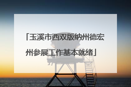 玉溪市西双版纳州德宏州参展工作基本就绪