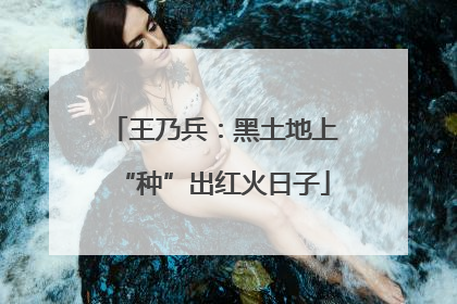 王乃兵：黑土地上“种”出红火日子