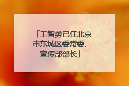 王智勇已任北京市东城区委常委、宣传部部长