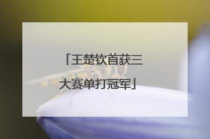 王楚钦首获三大赛单打冠军