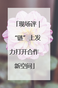 现场评｜“链”上发力打开合作新空间