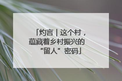 灼言｜这个村，蕴藏着乡村振兴的“留人”密码