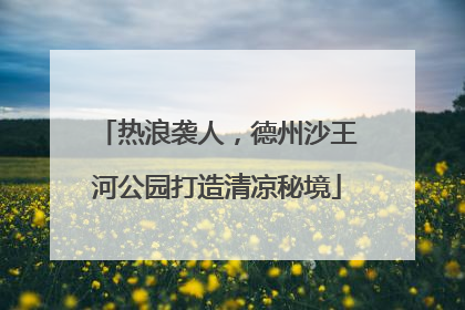 热浪袭人，德州沙王河公园打造清凉秘境