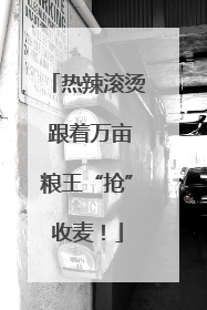 热辣滚烫 跟着万亩粮王“抢”收麦！