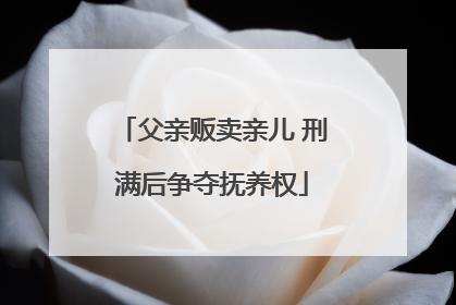 父亲贩卖亲儿 刑满后争夺抚养权