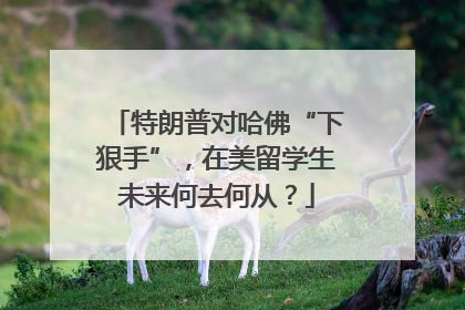 特朗普对哈佛“下狠手”，在美留学生未来何去何从？