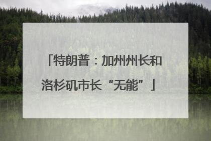 特朗普：加州州长和洛杉矶市长“无能”