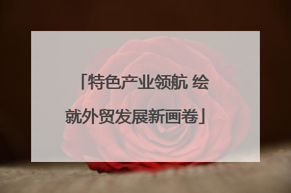 特色产业领航 绘就外贸发展新画卷