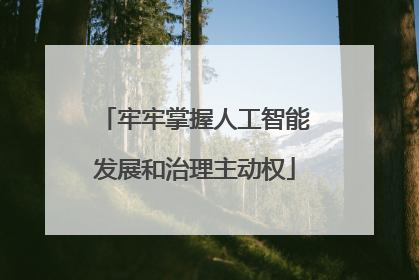 牢牢掌握人工智能发展和治理主动权