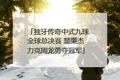 独牙传奇中式九球全球总决赛 楚秉杰力克周龙勇夺冠军