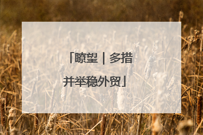瞭望｜多措并举稳外贸
